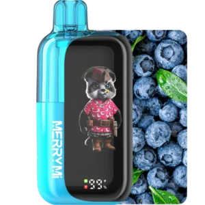 Panda-X 40K Crazy Blueberry